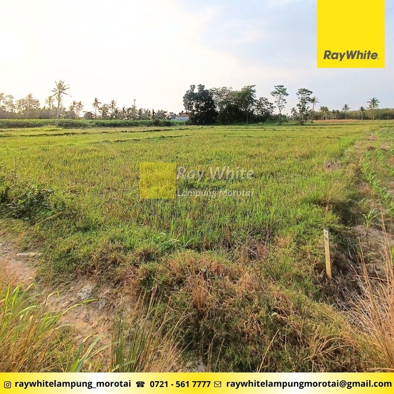 Tanah dekat kampus itera