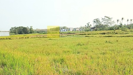 Tanah dekat kampus itera