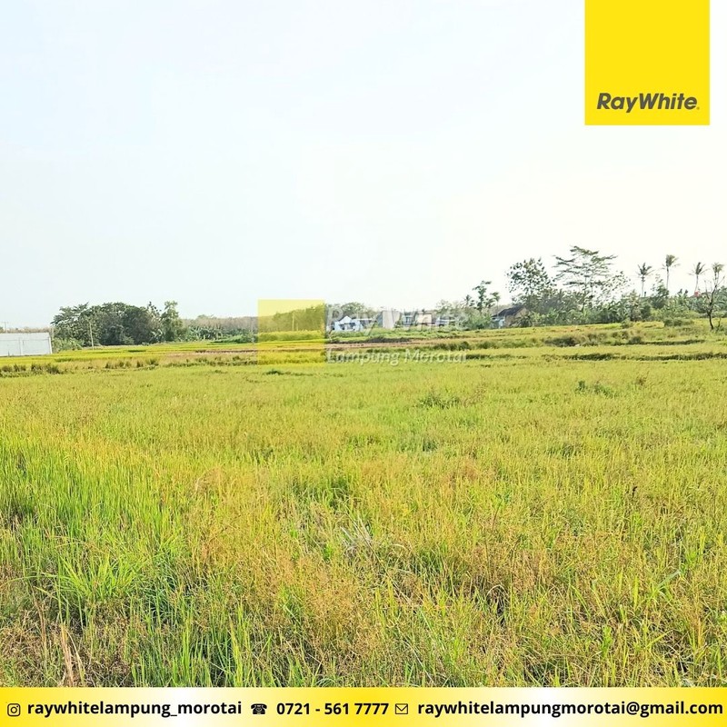 Tanah dekat kampus itera