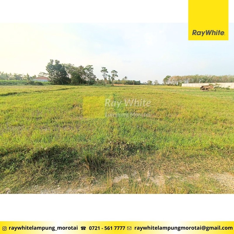 Tanah dekat kampus itera