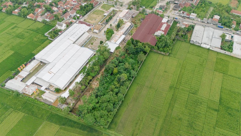 Tanah Strategis 1,3 Ha di Jalur Utama Purbowangi Kebumen Area Pergudangan & Industri, Purbowangi, Buayan, Kebumen