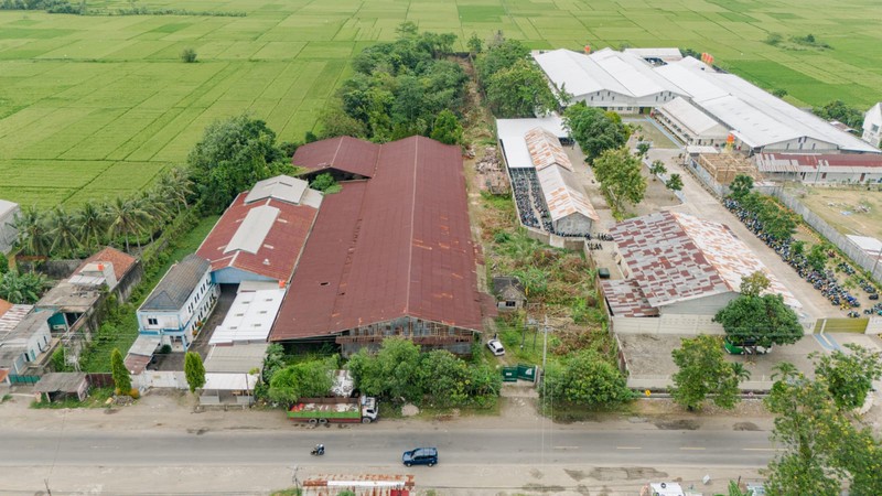 Tanah Strategis 1,3 Ha di Jalur Utama Purbowangi Kebumen Area Pergudangan & Industri, Purbowangi, Buayan, Kebumen