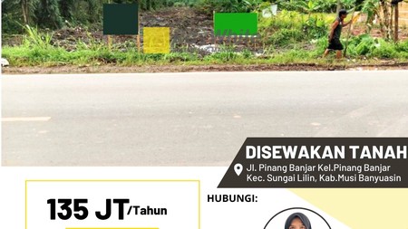 Disewakan Tanah di Jl. Pinang Banjar Kel.Pinang Banjar Kec. Sungai Lilin, Kab.Musi Banyuasin
