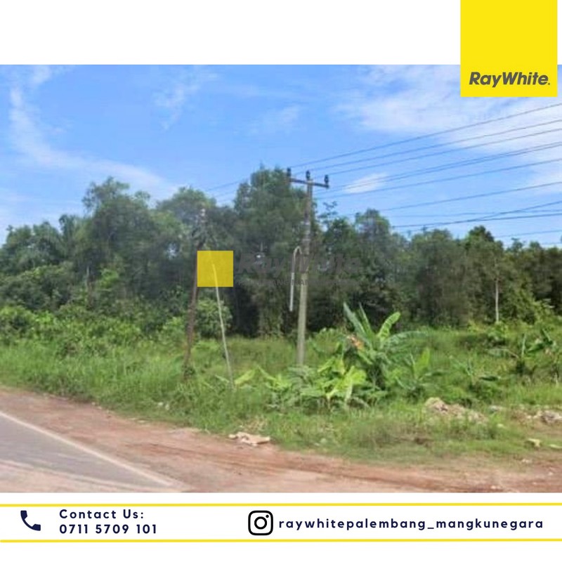 Disewakan Tanah di Jl. Pinang Banjar Kel.Pinang Banjar Kec. Sungai Lilin, Kab.Musi Banyuasin