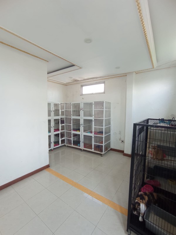 Rumah Full renovasi di Taman Palem Lestari Jakarta Barat Dekat Mall