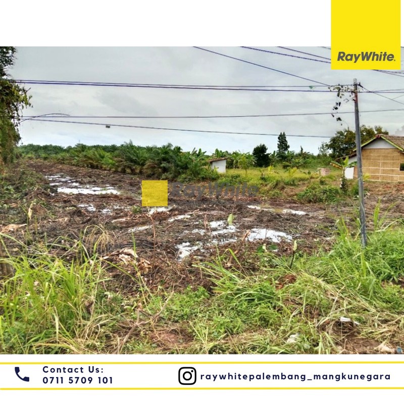 Dijual Tanah di Jl. Pinang Banjar Kel.Pinang Banjar Kec. Sungai Lilin, Kab.Musi Banyuasin