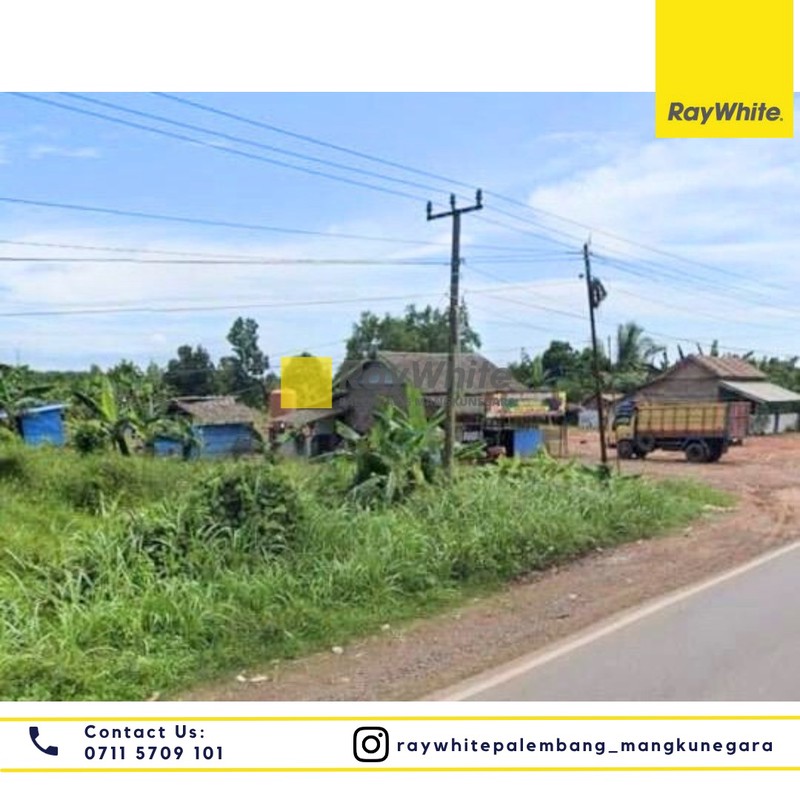 Dijual Tanah di Jl. Pinang Banjar Kel.Pinang Banjar Kec. Sungai Lilin, Kab.Musi Banyuasin