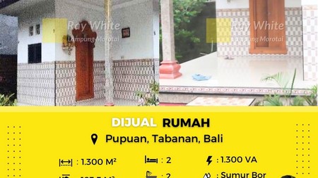 rumah murah bali