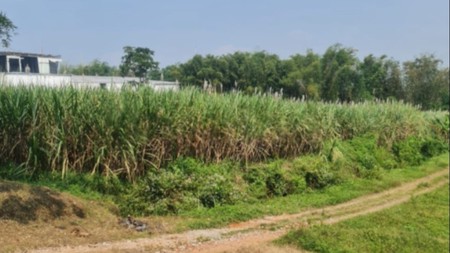 TANAH KAVLING DI JL RAYA RANDUAGUNG MALANG DEKAT PT USTEGRA DAN PABRIK ELPIJI