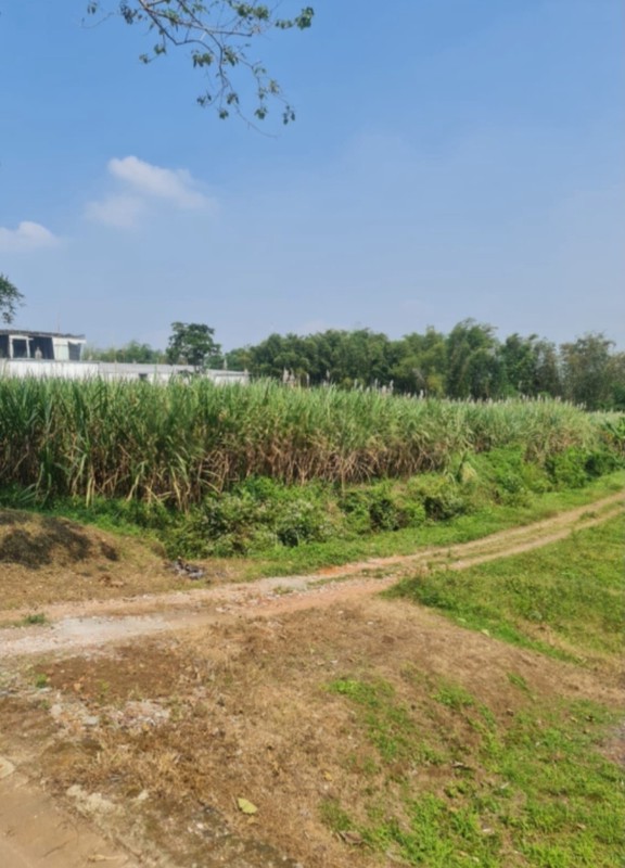 TANAH KAVLING DI JL RAYA RANDUAGUNG MALANG DEKAT PT USTEGRA DAN PABRIK ELPIJI