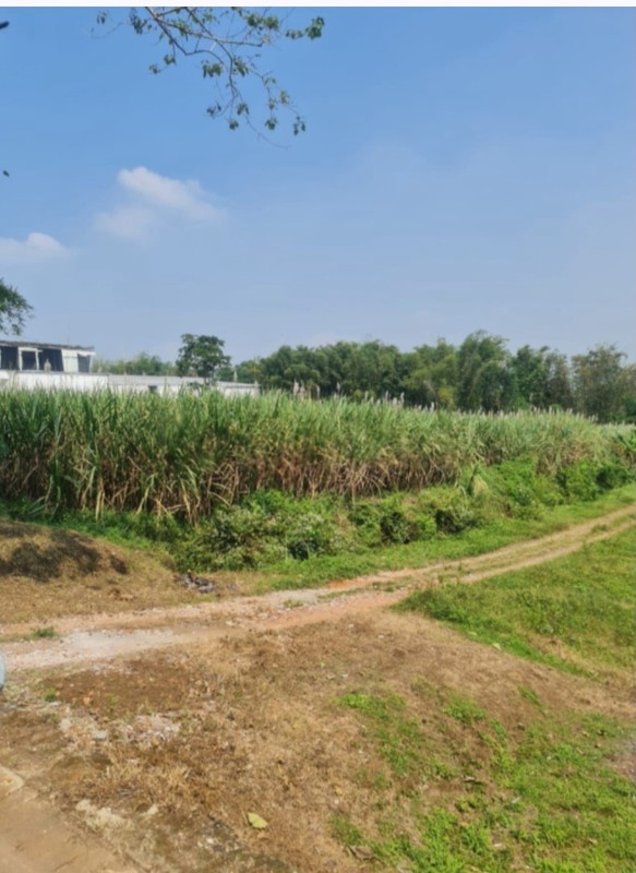 TANAH KAVLING DI JL RAYA RANDUAGUNG MALANG DEKAT PT USTEGRA DAN PABRIK ELPIJI