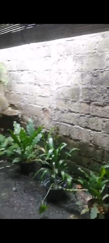 DIJUAL MURAH  RUMAH 1 LT -  Depok