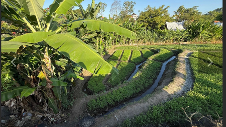 Leasehold - Rare Riverside Leasehold Land in Padonan, Canggu Area