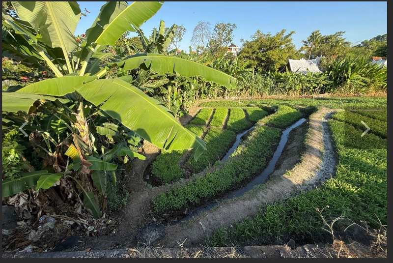 Leasehold - Rare Riverside Leasehold Land in Padonan, Canggu Area