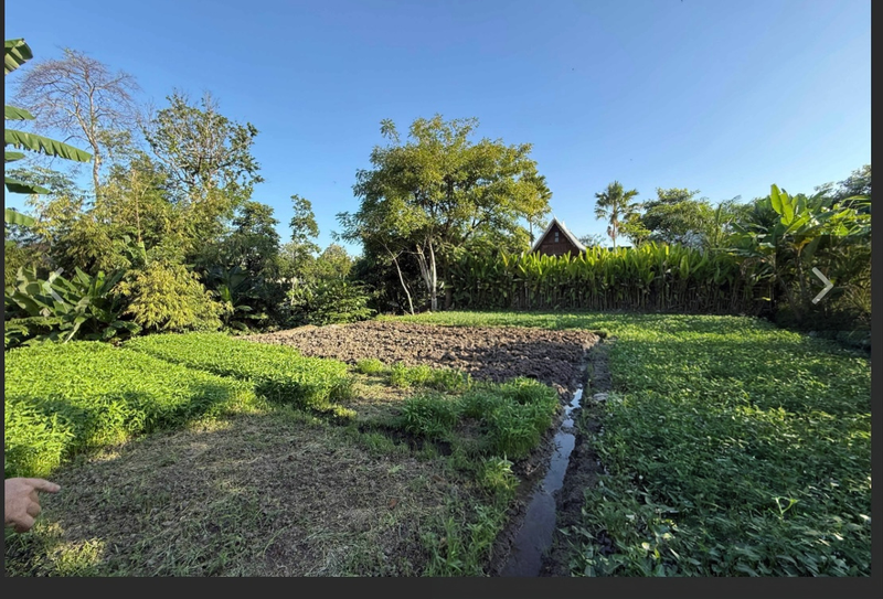 Leasehold - Rare Riverside Leasehold Land in Padonan, Canggu Area