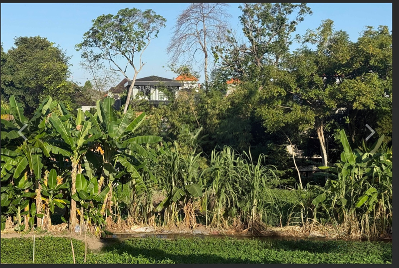 Leasehold - Rare Riverside Leasehold Land in Padonan, Canggu Area