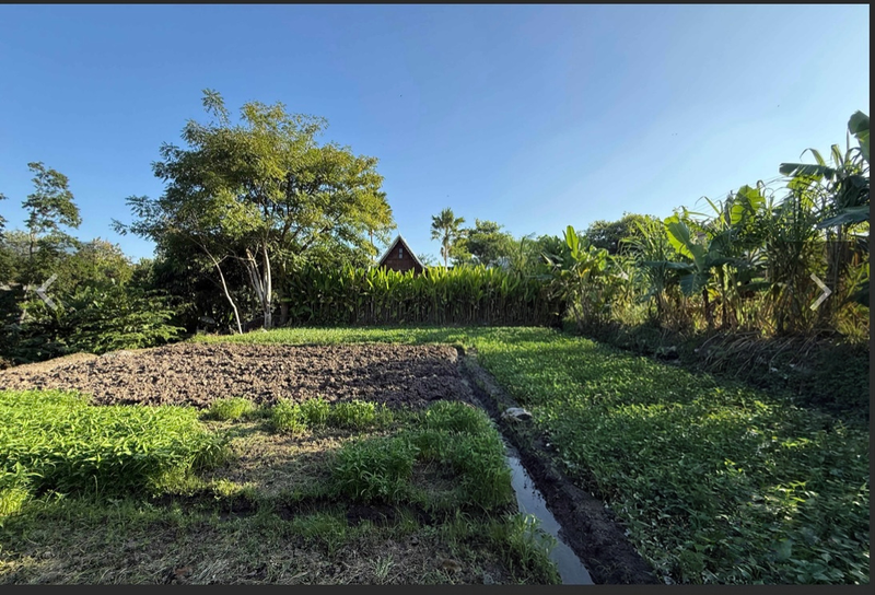 Leasehold - Rare Riverside Leasehold Land in Padonan, Canggu Area