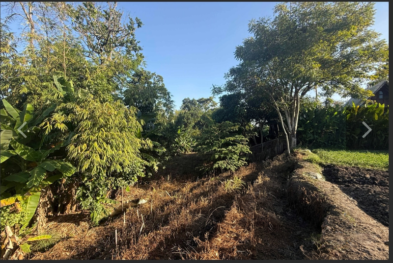 Leasehold - Rare Riverside Leasehold Land in Padonan, Canggu Area