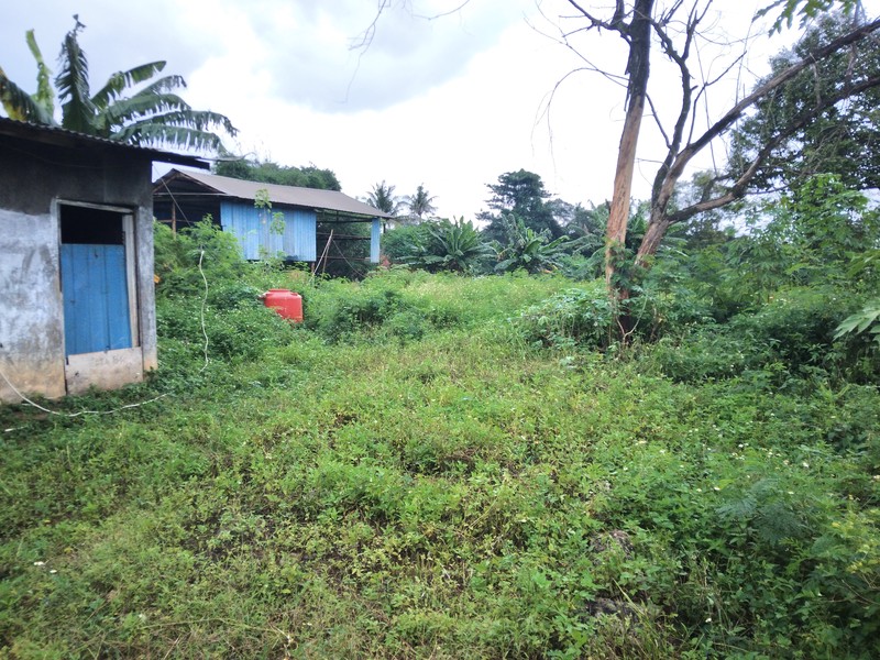 TANAH PINGGIR JALAN RAYA SETU CILEUNGSI COCOK UNTUK USAHA ATAUPUN GUDANG
