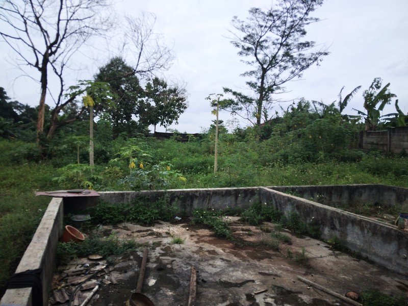 TANAH PINGGIR JALAN RAYA SETU CILEUNGSI COCOK UNTUK USAHA ATAUPUN GUDANG