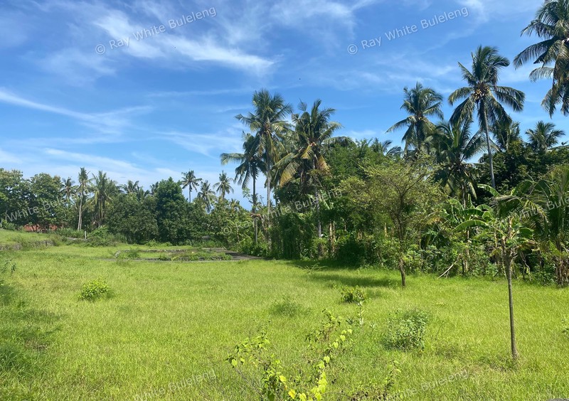 Strategic Freehold Land in Central Lovina, Perfect for Private Villa