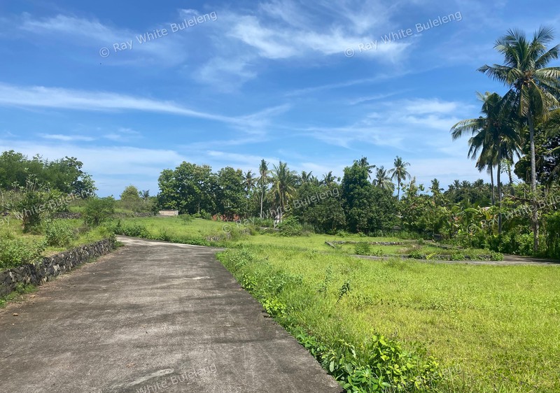 Strategic Freehold Land in Central Lovina, Perfect for Private Villa