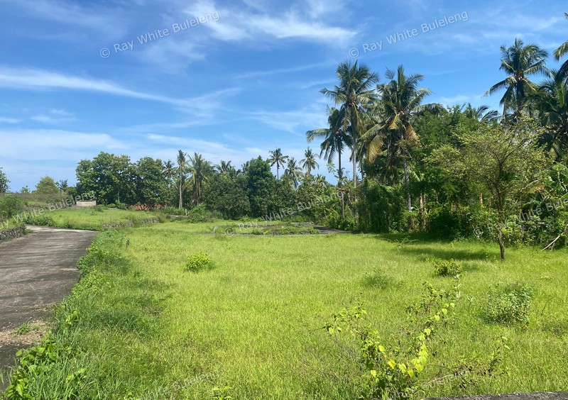 Strategic Freehold Land in Central Lovina, Perfect for Private Villa