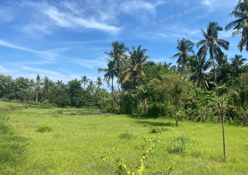 Strategic Freehold Land in Central Lovina, Perfect for Private Villa