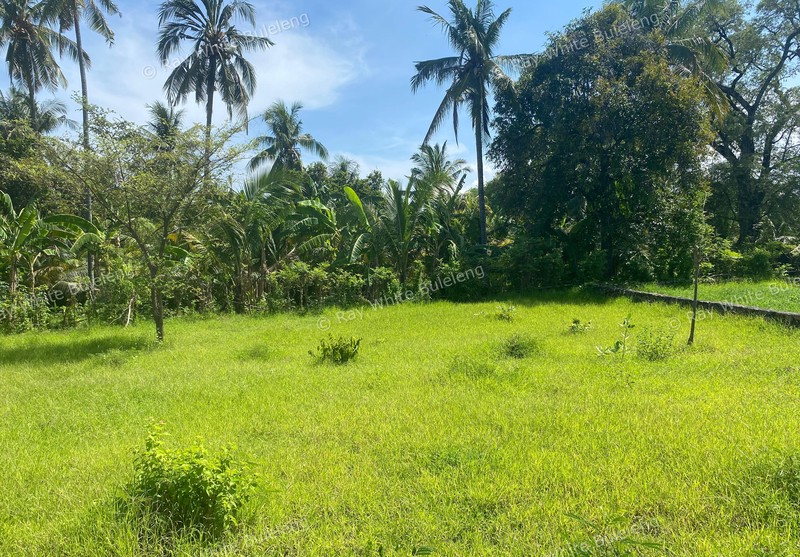 Strategic Freehold Land in Central Lovina, Perfect for Private Villa