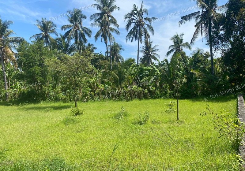 Strategic Freehold Land in Central Lovina, Perfect for Private Villa