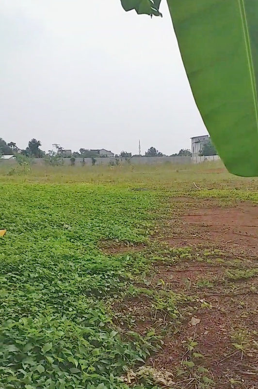 Tanah Strategis Pinggir Jalan Raya Victor BSD | LT 7.477 m² | SHM