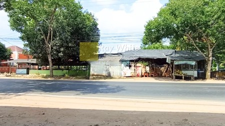 Jual Tanah Metro Barat 