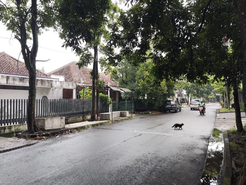 Hitung Tanah! Tanah Luas plus Bangunan Sayap Lengkong, Bandung!