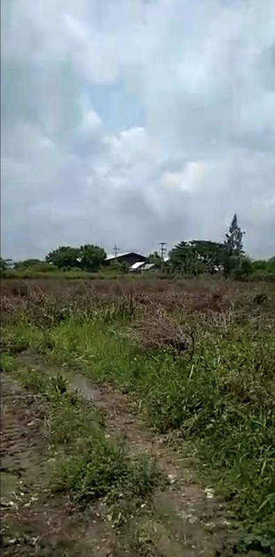 DIJUAL TANAH SIAP PAKAI cocok untuk industri di jl raya 0 TUBAN - Surabaya