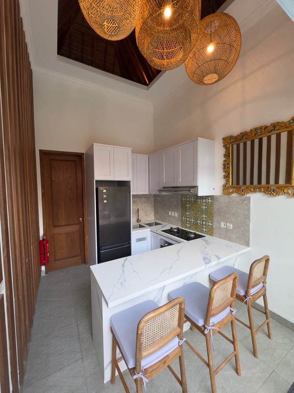 Modern Freehold Villa for Sale in Umalas - Bumbak