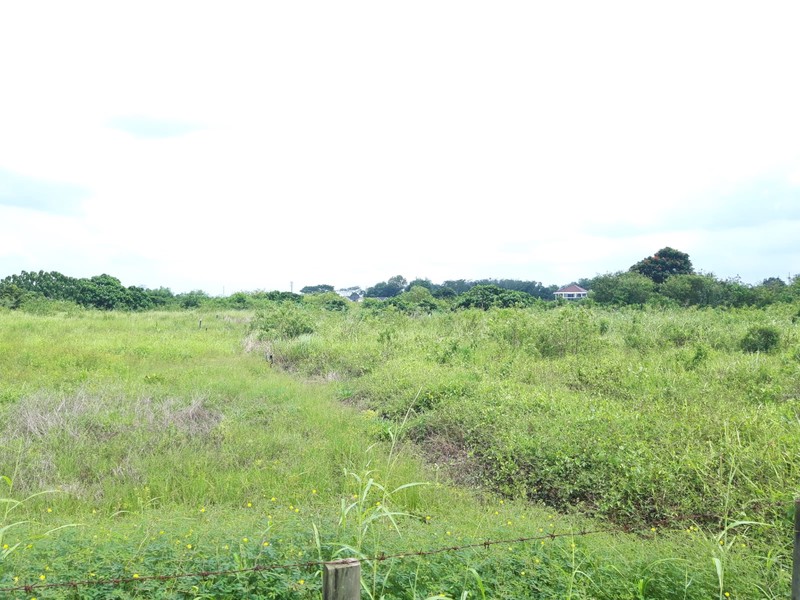 Lahan Strategis 1,6 Hektar Ideal untuk Perumahan, di Alang-Alang Lebar, Sukarami Palembang