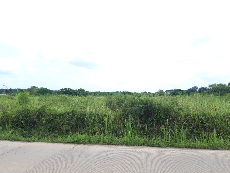 Lahan Strategis 1,6 Hektar Ideal untuk Perumahan, di Alang-Alang Lebar, Sukarami Palembang