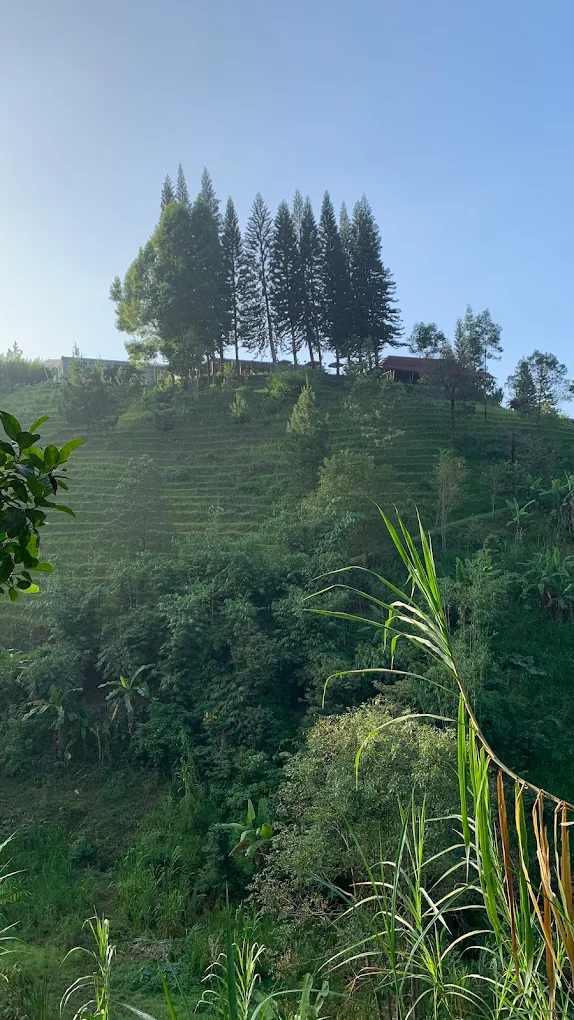 For Sale Lahan Komersial dengan Resort Exclusive di Cikahuripan, Lembang, Bandung