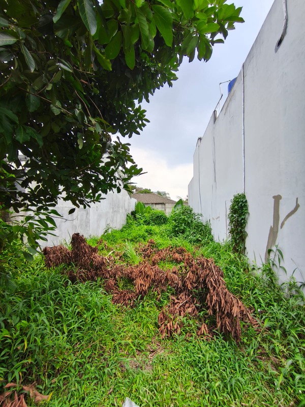 Tanah Strategis Sawah Lama Tangerang Selatan - Dekat Bintaro & Tol Serpong