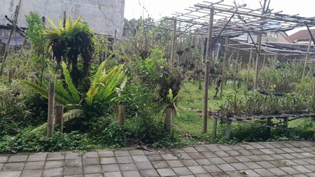 Tanah Luas 225 Meter Persegi Lokasi Strategis di Area Condong Catur - Depok Sleman 