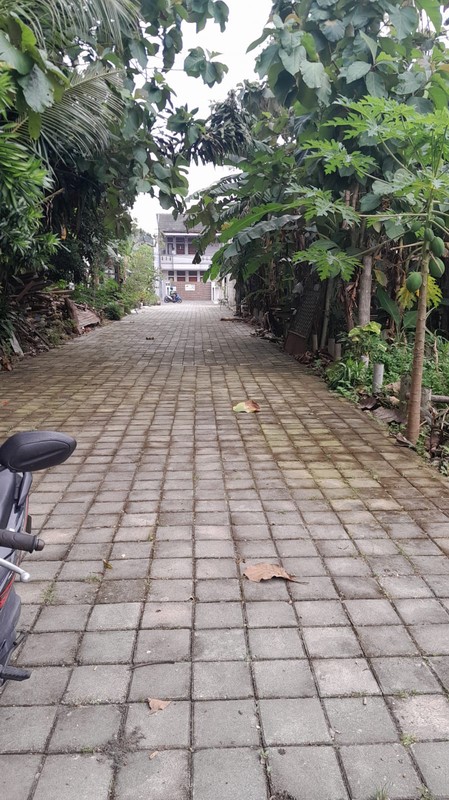 Tanah Luas 225 Meter Persegi Lokasi Strategis di Area Condong Catur - Depok Sleman 