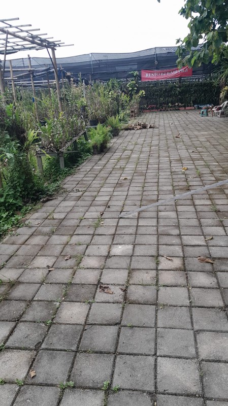 Tanah Luas 225 Meter Persegi Lokasi Strategis di Area Condong Catur - Depok Sleman 