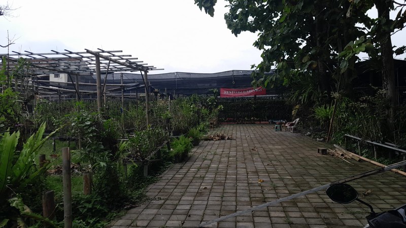 Tanah Luas 225 Meter Persegi Lokasi Strategis di Area Condong Catur - Depok Sleman 