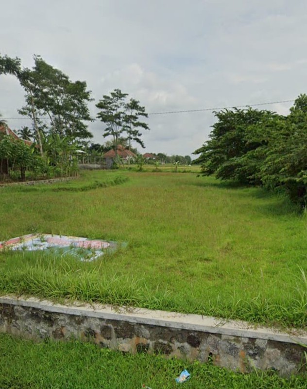 Dijual Tanah Pertanian Lokasi di Jalan Raya Bandongan - Magelang 