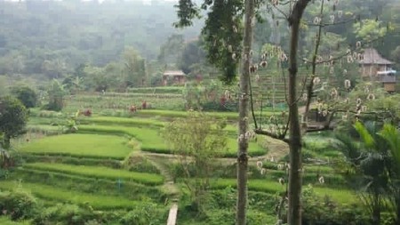 LAHAN STRATEGIS LUAS 1,3 HA DI TAPOS BOGOR - SIAP BANGUN CAFE, VILLA, ATAU HOTEL