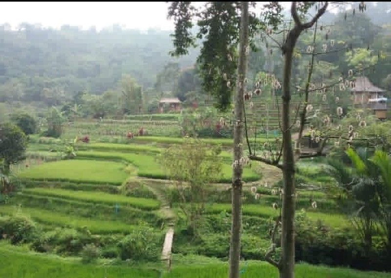 LAHAN STRATEGIS LUAS 1,3 HA DI TAPOS BOGOR - SIAP BANGUN CAFE, VILLA, ATAU HOTEL