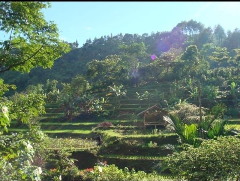 LAHAN STRATEGIS LUAS 1,3 HA DI TAPOS BOGOR - SIAP BANGUN CAFE, VILLA, ATAU HOTEL