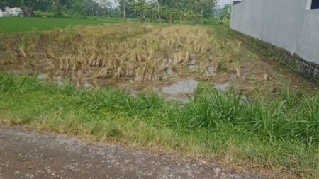 Tanah Sawah Luas 1338 Meter Persegi Lokasi Strategis Dekat Pasar Godean - Sleman 