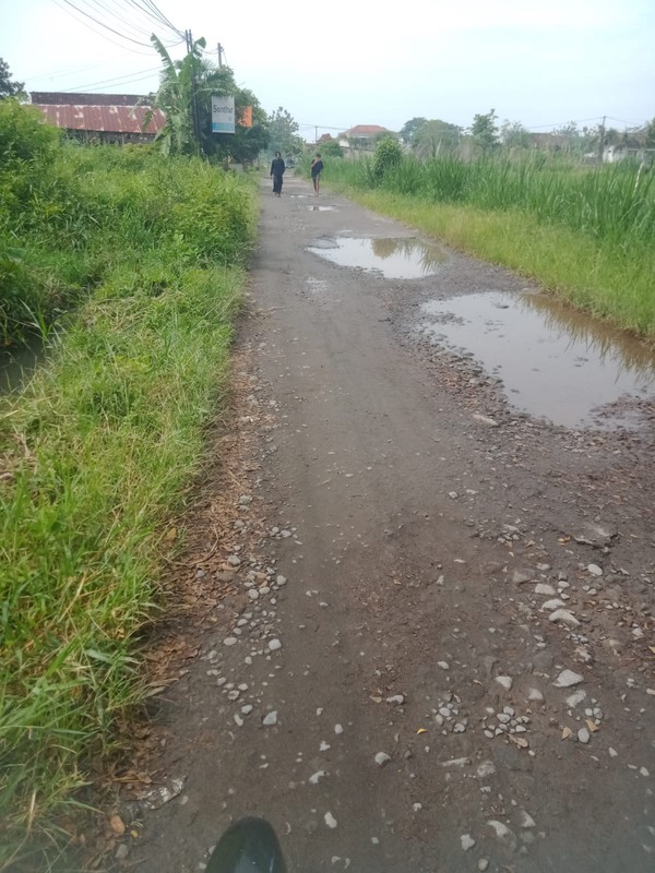Tanah Sawah Luas 1338 Meter Persegi Lokasi Strategis Dekat Pasar Godean - Sleman 