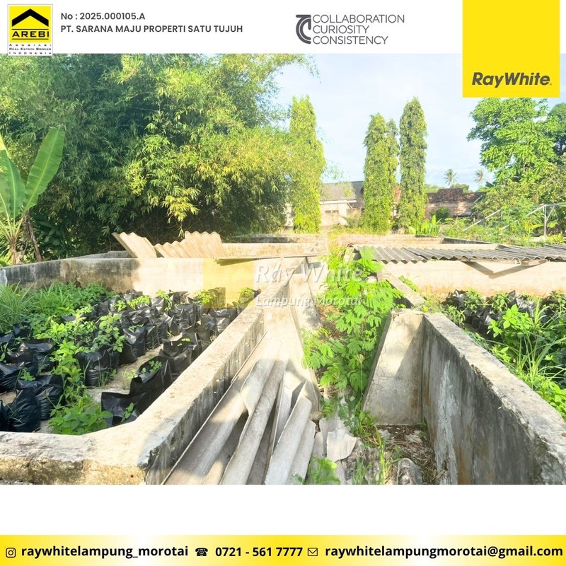 Dijual Tanah Bonus Bangunan